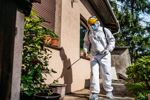 Best Pest Removal Services  in Onarga, IL