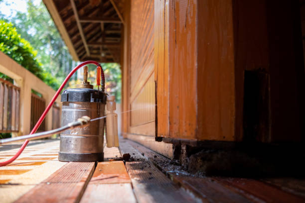 Best Exterminator Services  in Onarga, IL