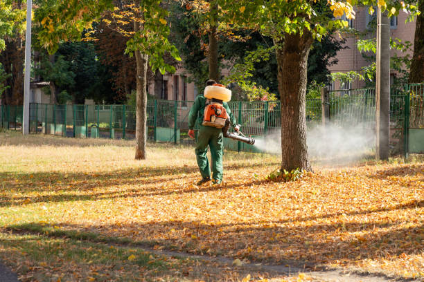 Best Spider Control Near Me  in Onarga, IL