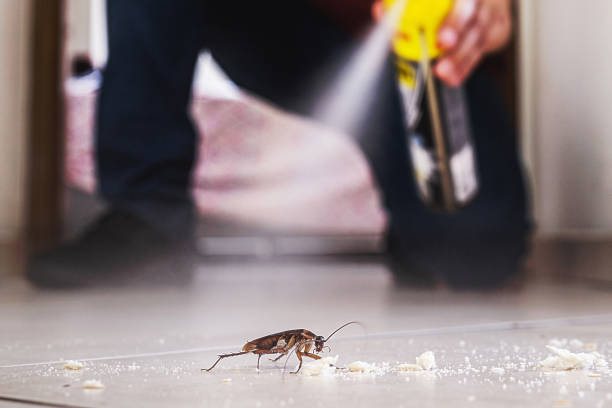 Best Pest Prevention Services  in Onarga, IL