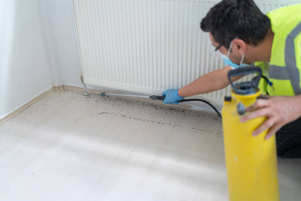 Best Best Pest Control Companies  in Onarga, IL